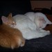 Kathy Jasper Photo 28
