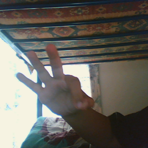 Vincent Hamilton Photo 14