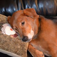 Aimee Ellis Photo 37