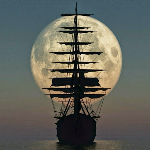 Robert Ramey Photo 21