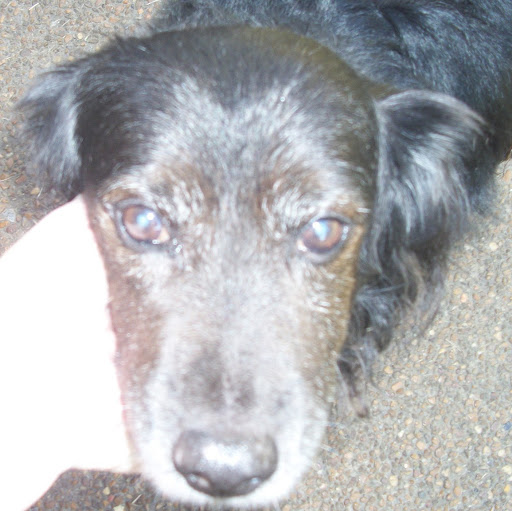 Robin Abbott Photo 26