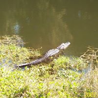 Melvin Stephens Photo 9