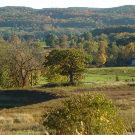 Cindy Alexander Photo 29