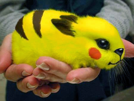 Bryce Anderson Photo 38