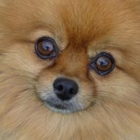 Terri Schaffer Photo 19