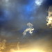 Andy Feng Photo 29