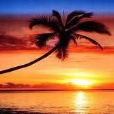 Debra Jarrett Photo 10