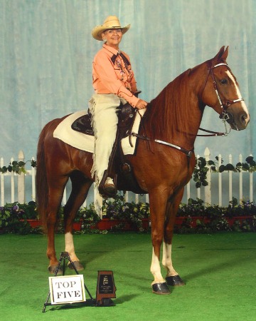 Karen Thornton Photo 7