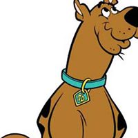 Julian Jenkins Photo 20