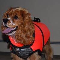 Marijane Allen Photo 1