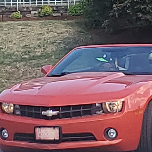 Daniel Franks Photo 22 Daniel Franks Photo 22