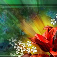 Albert Daniel Photo 8