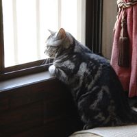 Yoshihiro Toya Photo 3