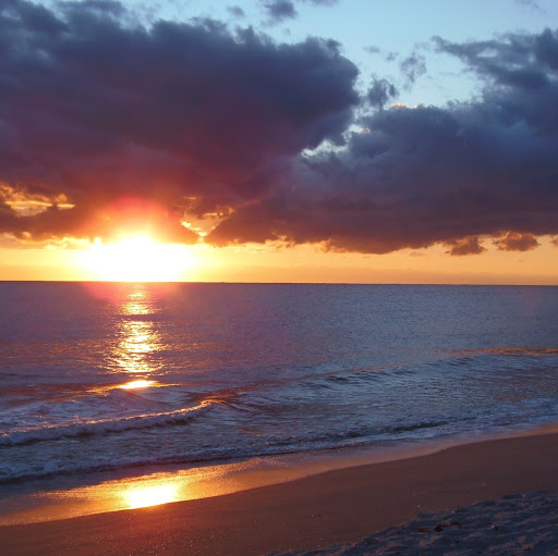 Joann Murphy Photo 37