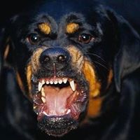 Michael Shackelford Photo 36