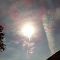 January Long Photo 4