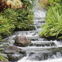 Katie Cross Photo 19