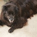 Cindy Borders Photo 28