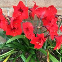 Victoria Kay Photo 19