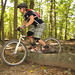 Kathy Schaeffer Photo 9
