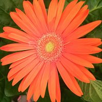 Jennifer Barger Photo 11