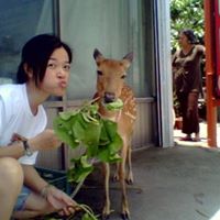 Jessica Cheng Photo 39