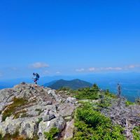 Kathleen Toomey Photo 16