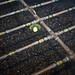 Jeff Arnett Photo 7