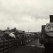Thomas Rains Photo 17