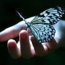 Teresa Webber Photo 17