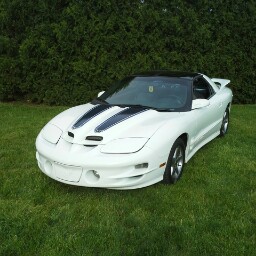 Tammy Shepherd Photo 15