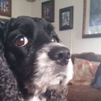 Linda Lowery Photo 24