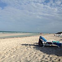 Stephen Harper Photo 25