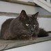 Jay Floyd Photo 9