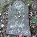 Daniel Andrus Photo 30