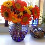 Georgia Bailey Photo 16