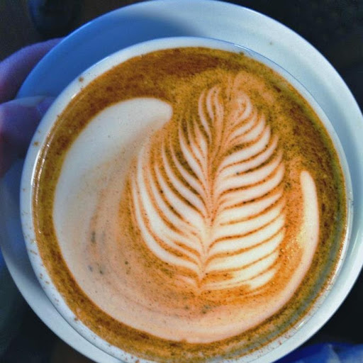 Jason Campbell Photo 55