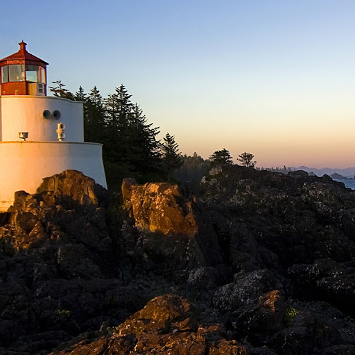 Candace Simpson Photo 31