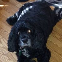 Harry Norton Photo 21