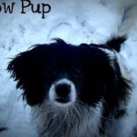 Robert Wren Photo 24