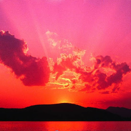 Debbie Huffman Photo 3