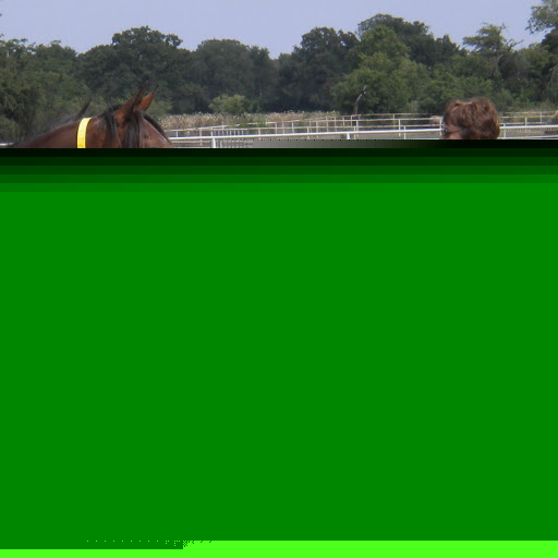 Martha Washington Photo 4 Martha Washington Photo 4