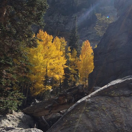 Christie Lawrence Photo 33