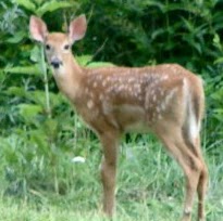 Lynn Barrett Photo 27