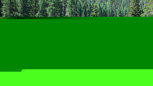 Vicki Greene Photo 33