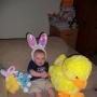 Mark Schoenfeld Photo 24