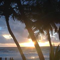 Julie Crocker Photo 19