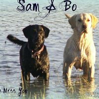 Joshua Jensen Photo 13 Joshua Jensen Photo 13