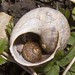 Michelle Shell Photo 33