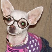 Nancy Mcgraw Photo 18